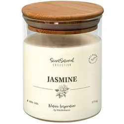 Wiedemann Kerzen Duftkerze im Glas "Jasmine" 275g, 1 Stück