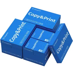 Easyprint Druckerpapier Kopierpapier 15000 Blatt (30 x 500) DIN A4 Premium Hochweiß CIE 160 Testsieger PEFC Umweltzertifikat