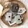 Fujifilm Instax Mini LiPlay Deep Bronze