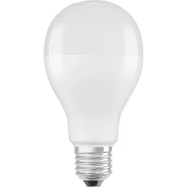 DeLock LED-Birne 150W E27 6500 K 1 St.
