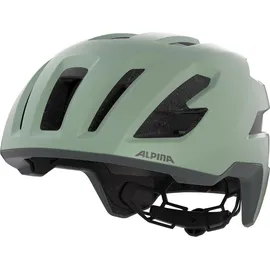 Alpina Taunus Gravel MIPS 55-59 cm Herren willow-green matt 2021