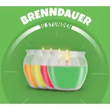 HS Candle Duftkerzen Selection 12 St. bunt