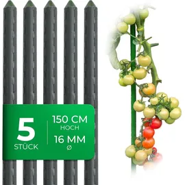 Novatool Pflanzstab 150 cm