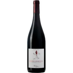 Saumur Champigny - Le Page 2023 - Domaine de Rocheville