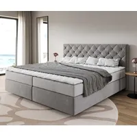 DeLife Boxspringbett Dream-Great Mikrofaser Grau 200x200 cm mit Taschenfederkernmatratze