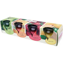 HS Candle Duftkerze Selection 4er Pack im Glas, lange Brenndauer und angenehmer Duft (Fruit Selection)