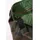 Brandit Textil Urban Legend Woodland 134