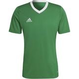 adidas Herren, T-Shirt, Team Green/White, L