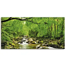 Artland Wandbild »Herbstwald Fluss Smolny«, Wald, (1 St.), als Leinwandbild, Poster, Wandaufkleber in verschied. Größen Artland Farbe Bild(er): grün
