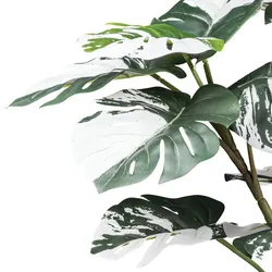 CREATIV green Künstliche Pflanze Monstera deliciosa Variegat 80cm im Topf
