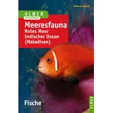 Ulmer Eugen Verlag Meeresfauna. Fische