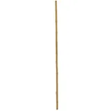 Europalms Bambusrohr, Ø=3cm, 200cm