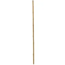 Europalms Bambusrohr, Ø=3cm, 200cm