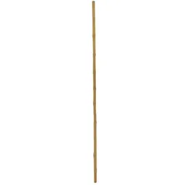 Europalms Bambusrohr, Ø=3cm, 200cm