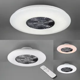 Trio Visby 59 cm Deckenventilator mit Licht