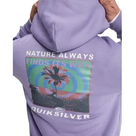 QUIKSILVER SALT WATER GRAPHIC Hoodie 2026 daybreak - L
