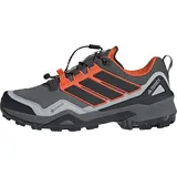 adidas Performance Halbschuhe Terrex Skychaser GTX JS4613 Grau | Gr.: 43 1/3