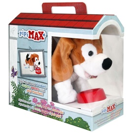 Stadlbauer Pipi Max Beagle