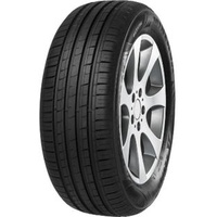 Minerva F 209 205/55 R16 91V