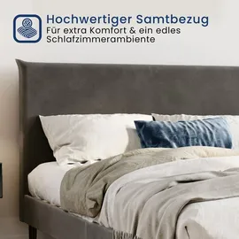 home collective Polsterbett 140x200 und 160x200 cm mit Lattenrost und weichem Bezug, Bettgestell 140x200 cm, Grau, Samtbezug - Grau