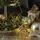 MARELIDA LED Lichterkette Pusteblume Silber 1 m