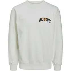 Jack & Jones Junior Sweatshirt BRINK STUDIO Langarmshirt