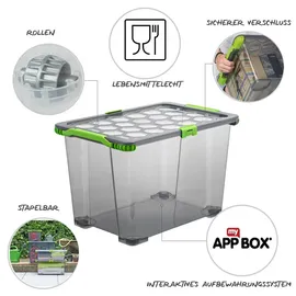 Rotho Evo Total Aufbewahrungsbox 59,0 x 39,5 x 41,2 cm 3-tlg. grau/transparent