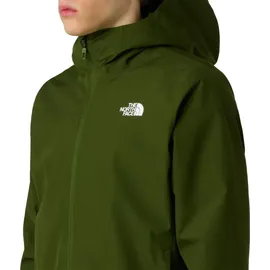 The North Face Herren Quest Mono Jacke (Größe M, gruen)