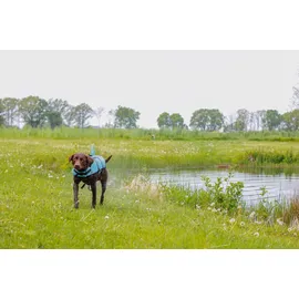 Nobby Hunde Schwimmweste Sharki mit Haiflosse hellblau