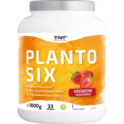 Planto Six - vegan 100% pflanzliche Quellen - bis zu 64% Proteinanteil 1 KG