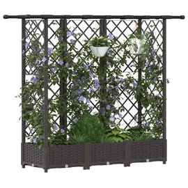 vidaXL Hochbeet mit Rankgitter und Dach 164 x 40 x 123 cm Braun