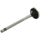 Team Associated AE V94117 Auslaßventil