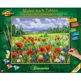 Schipper 609130824 Malen nach Zahlen Blumenwiese, 40 x 50 cm
