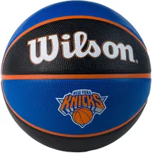 Wilson NBA Team Tribute Silver 7
