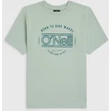 O'Neill Muir T-Shirt marble arch - grün