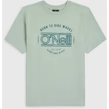 O'Neill Muir T-Shirt marble arch - grün