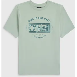 O'Neill Muir T-Shirt marble arch - grün