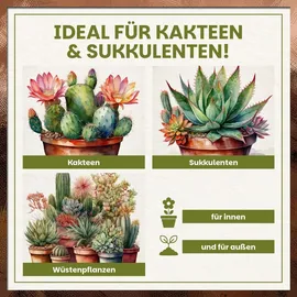 GREEN HOME LOVE NATURE Kakteenerde 72 l