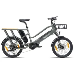 Chrisson eCargo 20 E Bike Lastenrad 20 Zoll Damen oder Herren 155 - 190 cm Pedelec Lastenfahrrad 8 Gänge