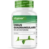 Vit4ever Cissus Quadrangularis Intenso, 180 Kapsel