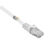 Renkforce RF-5043780 RJ45 Patchkabel CAT 5e U/UTP 2.00m Weiß mit Rastnasenschutz