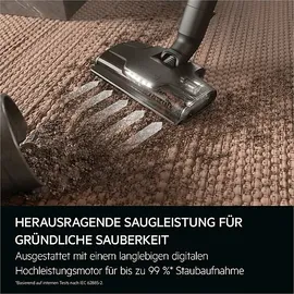 AEG Ultimate 8000 Akku-Staubsauger AP82A25SHX