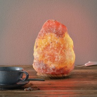 Wagner Life ROCK - Salzkristallleuchte 4-6 kg, Höhe ca. 23 cm