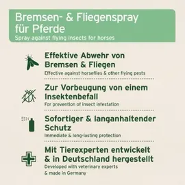 AniForte Bremsen-EX Spray 1 L