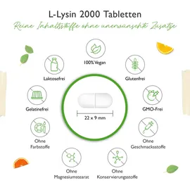 Vit4ever L-Lysin 2000 Tabletten 365 St.