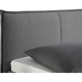 MAINTAL Polsterbett 120 x 200 cm Grau