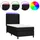 vidaXL Boxspringbett 100 x 200 cm Schwarz