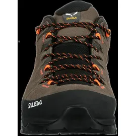 Salewa Alp Trainer 2 GTX Herren Bungee Cord/Black 44