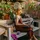 Relaxdays Hängekorb 3er Set Kokos 35 cm 10 l