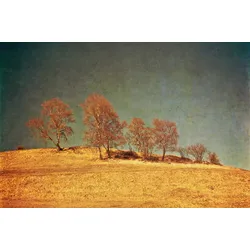 Fototapete PAPERMOON "BÄUME-VINTAGE NATUR LANDSCHAFT HERBST WALD WANDBILD XXL", bunt, B:5,00m L:2,80m, Vlies, Tapeten